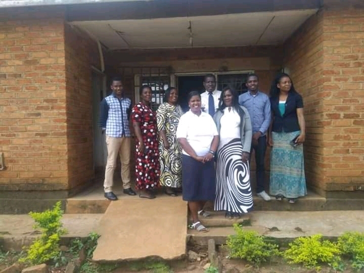 Tree planting project