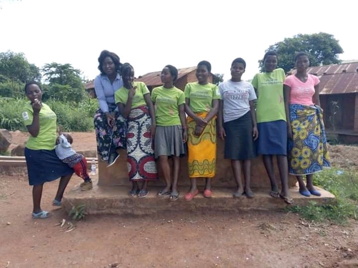 Tree planting project